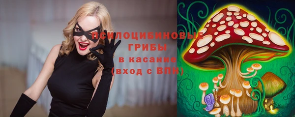 стаф Арсеньев