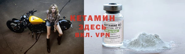 стаф Арсеньев