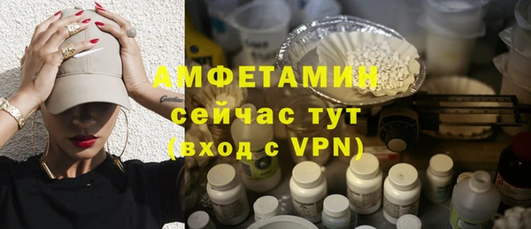гидра Аркадак