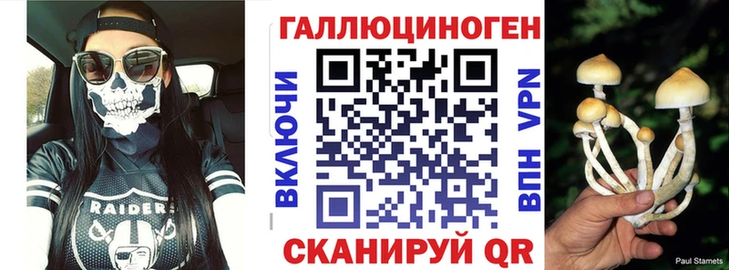 что такое наркотик  Суздаль  Псилоцибиновые грибы MAGIC MUSHROOMS 