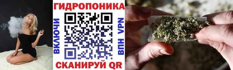 Бошки марихуана OG Kush  Суздаль 